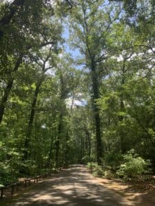 Photo from Pauly's travels.