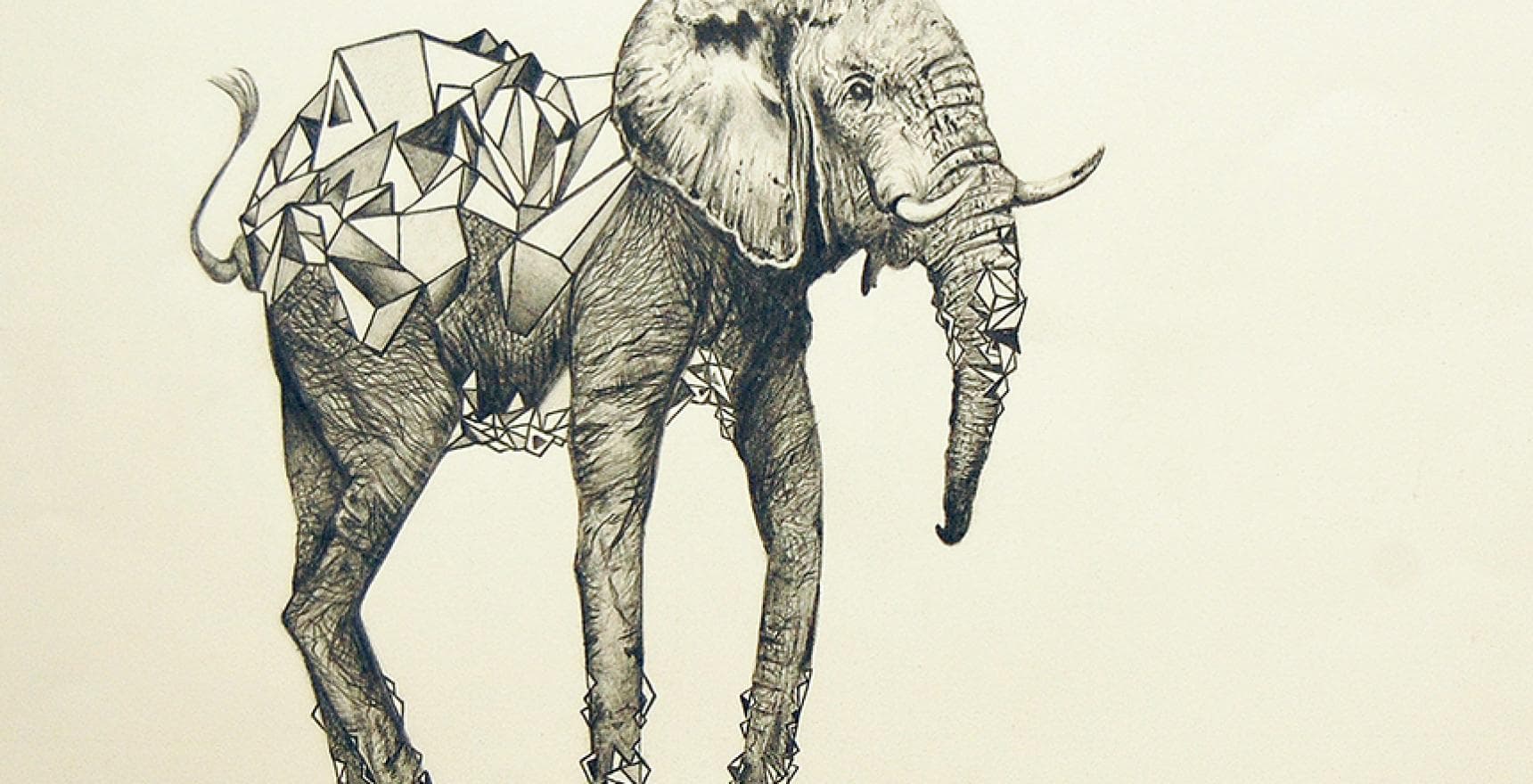 cubical elephant